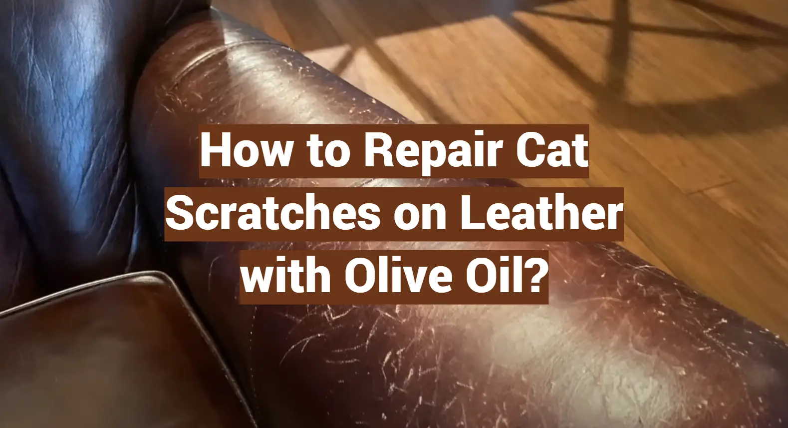 How to Repair Cat Scratches on Leather with Olive Oil?