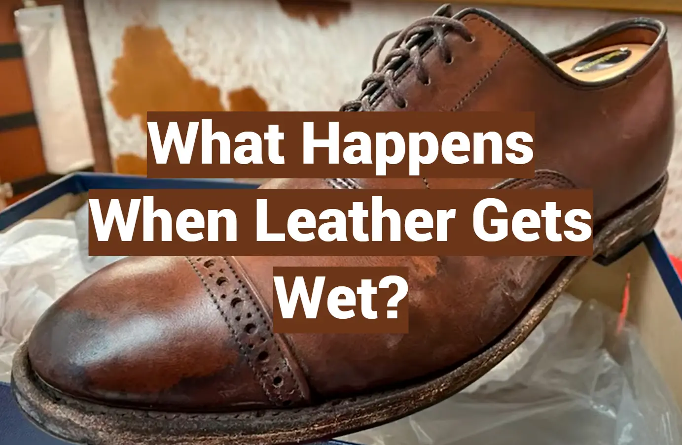 What Happens When Leather Gets Wet?