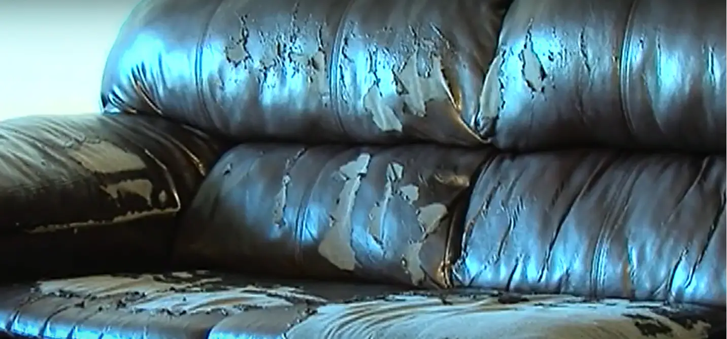 Why Bonded Leather is a Bad Investment