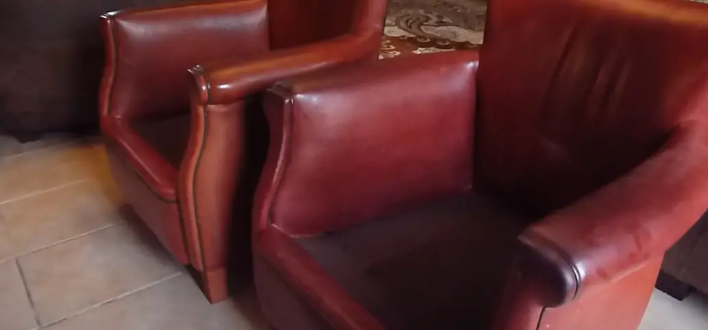 Why You Should Absolutely Deal With Mold on Leather Furniture