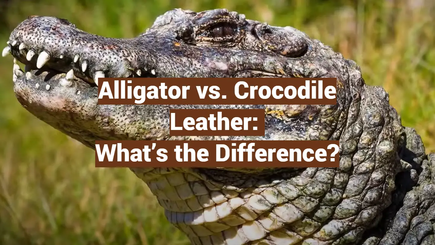 Alligator vs. Crocodile Leather: What’s the Difference?