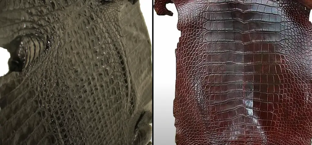 What are alligator and crocodile leather types?
