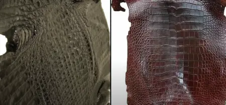 Alligator vs. Crocodile Leather: What’s the Difference? - LeatherProfy