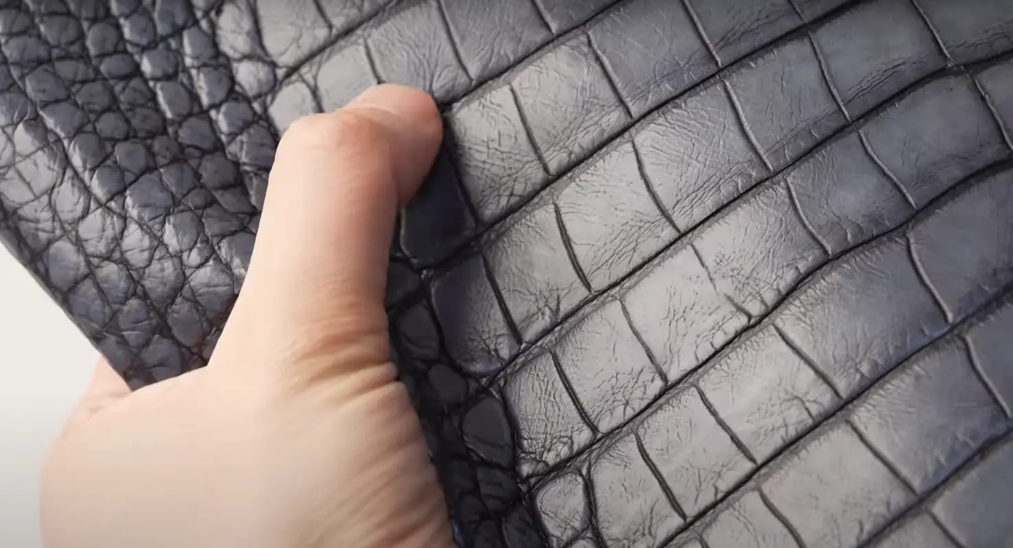 Alligator vs. Crocodile Leather: What’s the Difference? - LeatherProfy