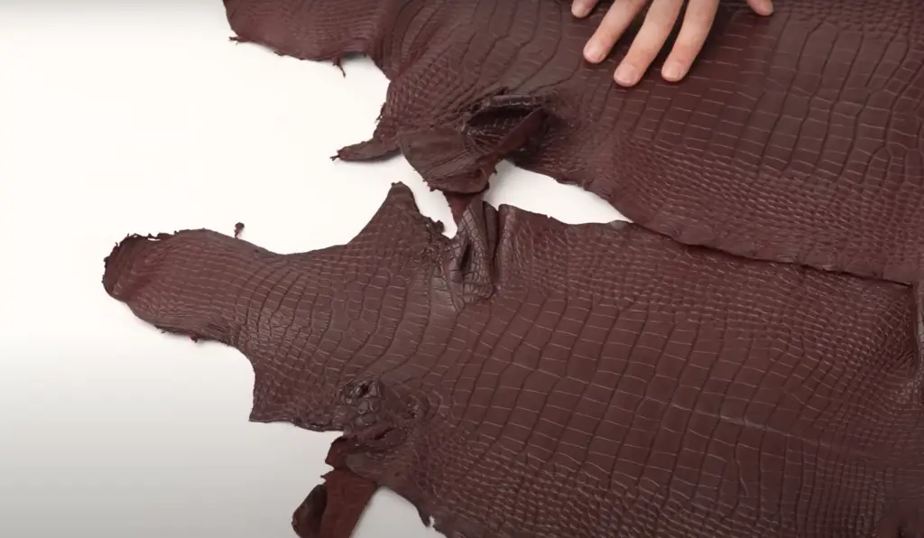 Differences between crocodile skin and the alligator skin