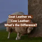 Goat Leather vs. Cow Leather: What’s the Difference?