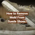 How to Remove Mold From Suede Shoes?
