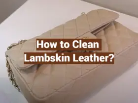 How to Clean Lambskin Leather?