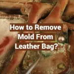 How to Remove Mold From Leather Bag?