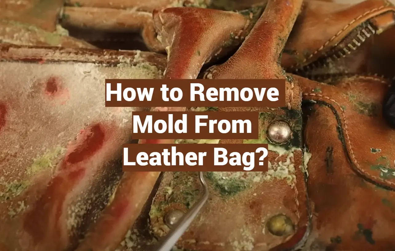 How to Remove Mold From Leather Bag?