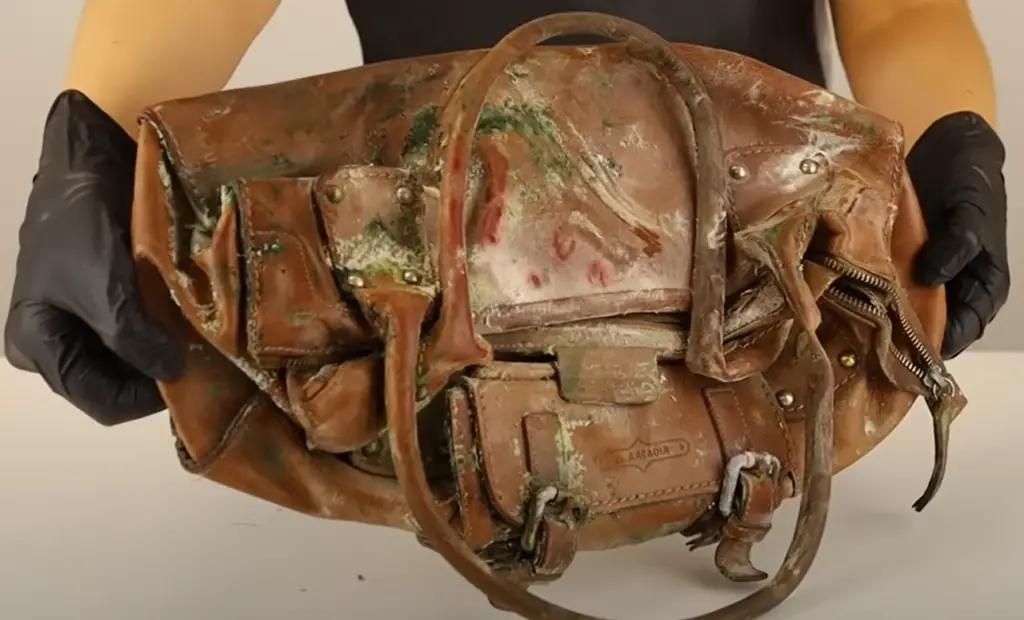 How To Eliminate Moldy Smell From Your Leather Bag
