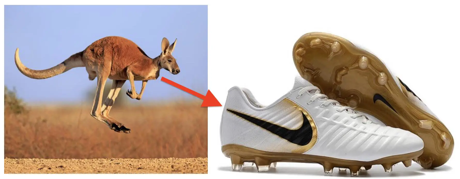 Does Nike Use Kangaroo Leather