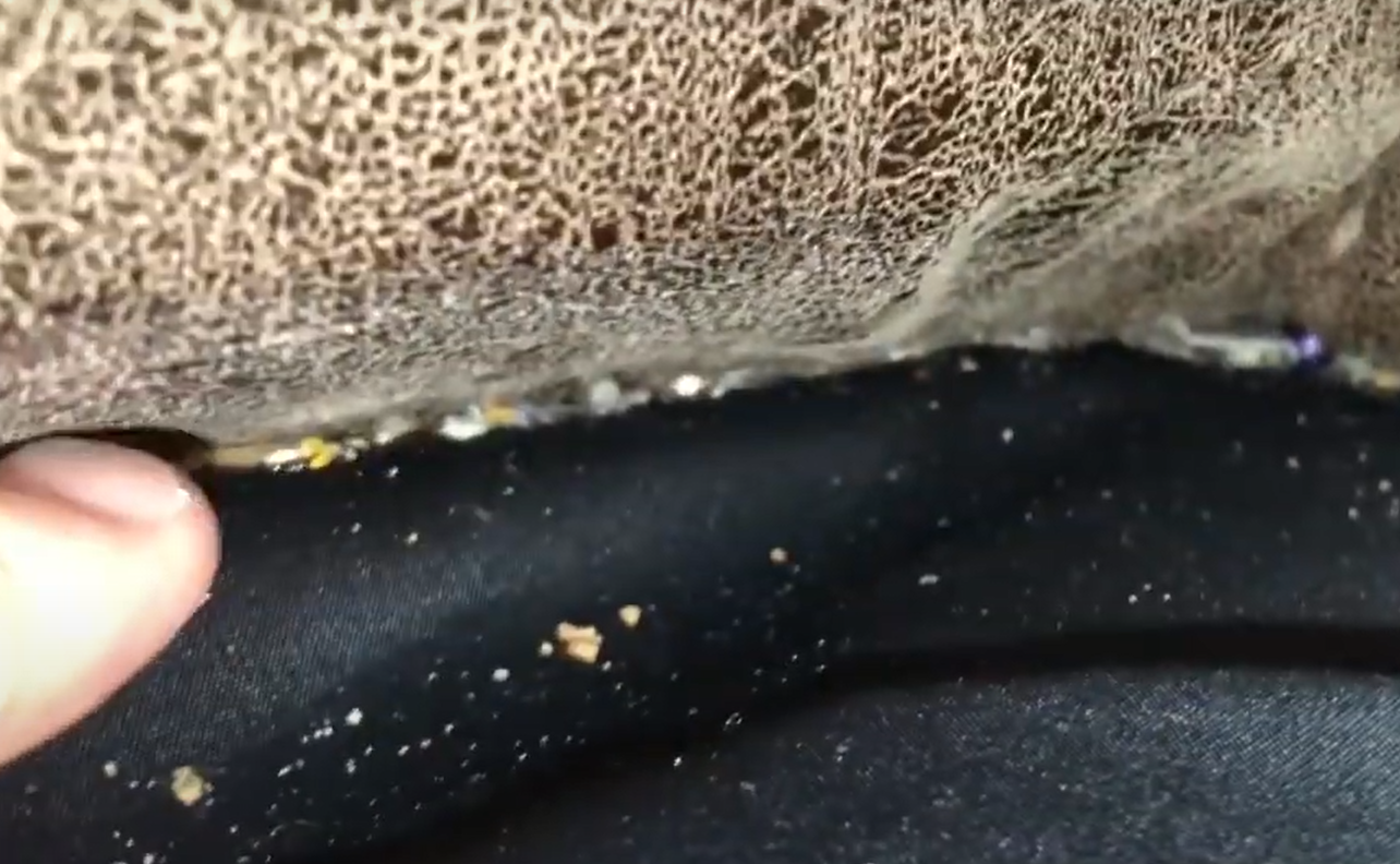 Can Bed Bugs Live in Leather Couches? LeatherProfy