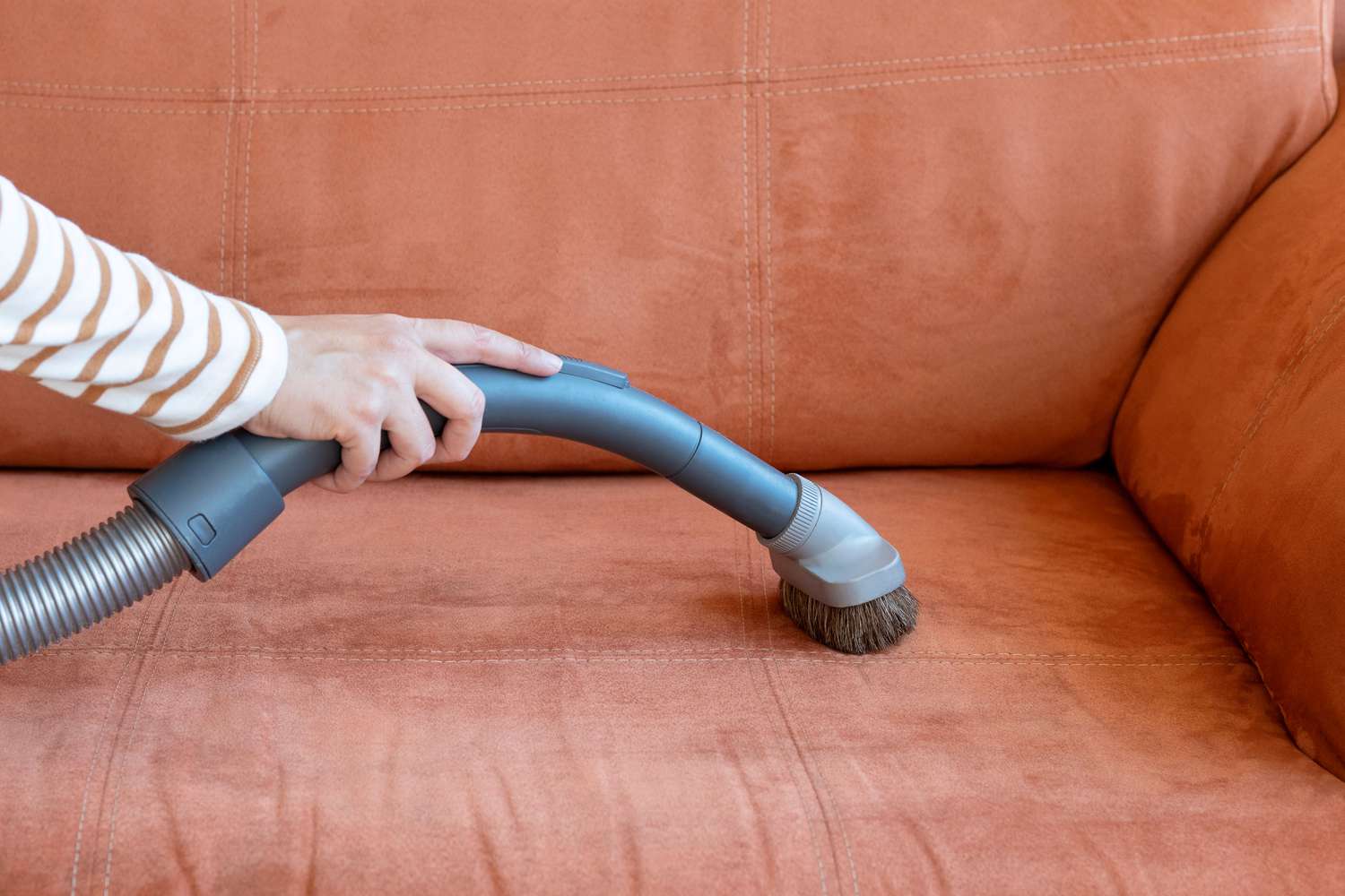 Brushing A Suede Sofa