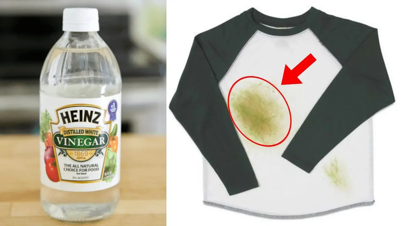White Vinegar Is A Grass Stain Remover