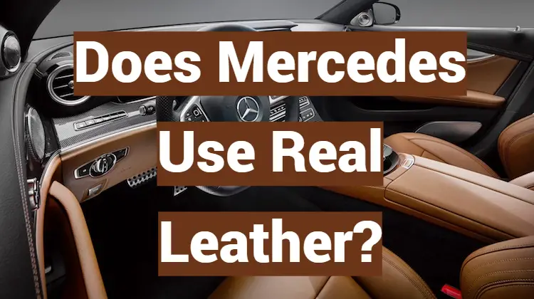 Does Mercedes Use Real Leather LeatherProfy