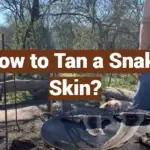 How to Tan a Snake Skin?