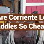 Why Are Corriente Leather Saddles So Cheap?
