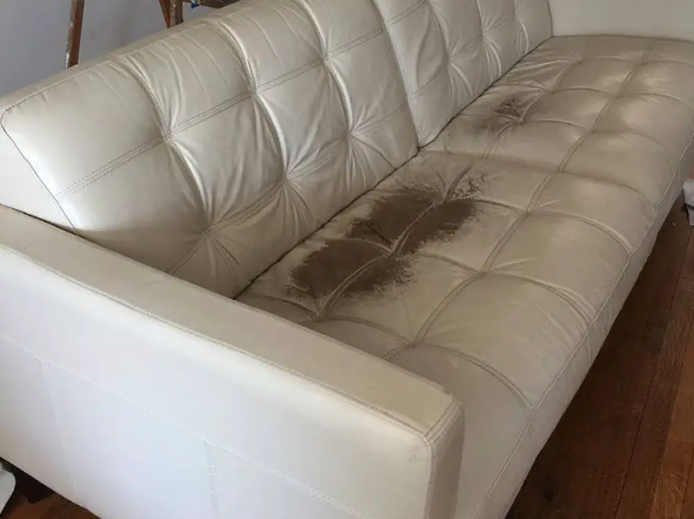 Cons of having a white leather sofa