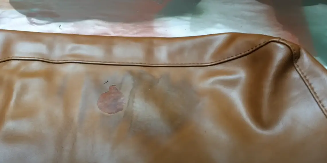 How to Remove Pet Hair From a Leather Couch? LeatherProfy