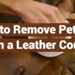 How to Remove Pet Hair From a Leather Couch?