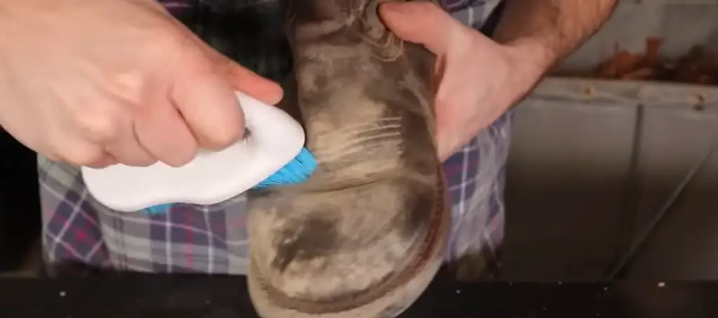 How To Clean Suede Boots