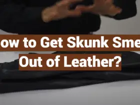 How to Get Skunk Smell Out of Leather?